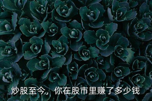 炒股至今，你在股市里賺了多少錢