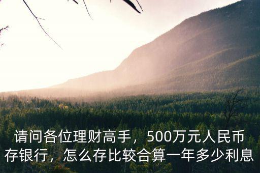 請問各位理財高手，500萬元人民幣存銀行，怎么存比較合算一年多少利息
