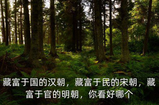 藏富于國的漢朝，藏富于民的宋朝，藏富于官的明朝，你看好哪個