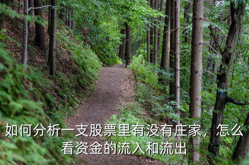 如何分析一支股票里有沒有莊家，怎么看資金的流入和流出