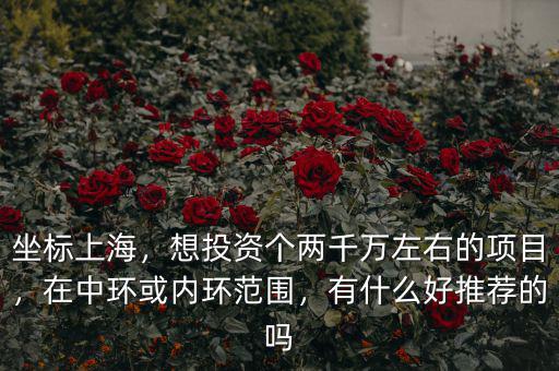 坐標(biāo)上海，想投資個(gè)兩千萬左右的項(xiàng)目，在中環(huán)或內(nèi)環(huán)范圍，有什么好推薦的嗎