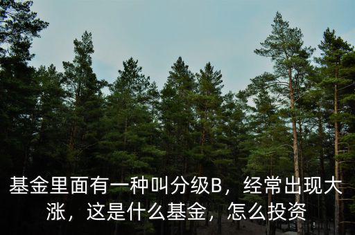 基金里面有一種叫分級B，經(jīng)常出現(xiàn)大漲，這是什么基金，怎么投資