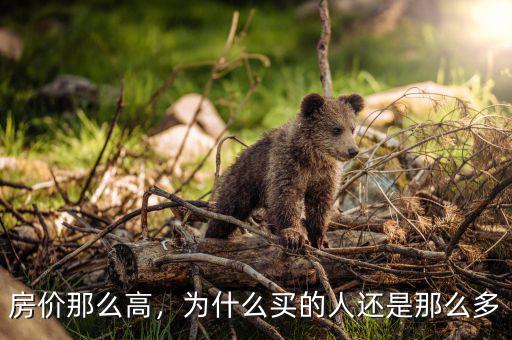房?jī)r(jià)那么高，為什么買的人還是那么多