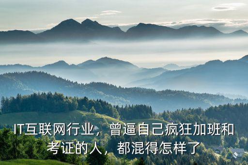 IT互聯(lián)網(wǎng)行業(yè)，曾逼自己瘋狂加班和考證的人，都混得怎樣了