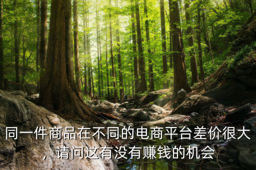 同一件商品在不同的電商平臺差價很大，請問這有沒有賺錢的機會