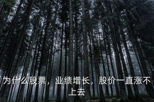 為什么股票，業(yè)績增長，股價一直漲不上去