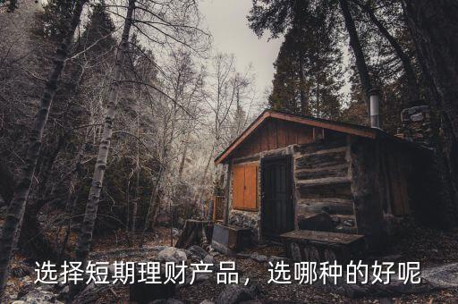 選擇短期理財(cái)產(chǎn)品，選哪種的好呢