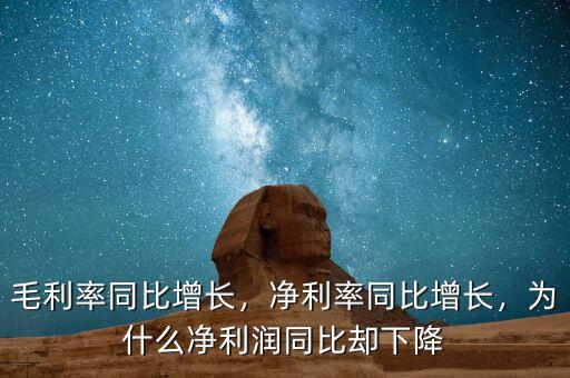 毛利率增長(zhǎng)說明什么,凈利率同比增長(zhǎng)