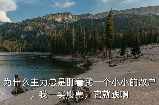 為什么主力總是盯著我一個小小的散戶，我一買股票，它就跌啊