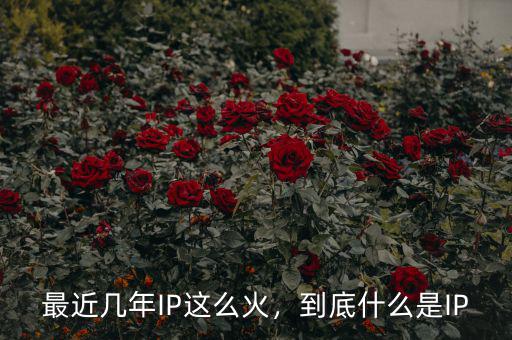 最近幾年IP這么火，到底什么是IP