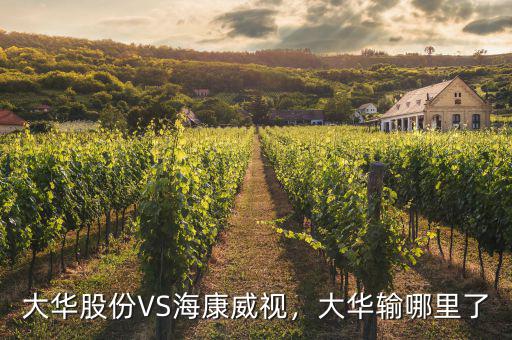 ?？低曉趺闯钟泄煞?寧德時(shí)代和海康威視