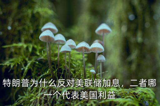 特朗普為什么反對(duì)美聯(lián)儲(chǔ)加息，二者哪一個(gè)代表美國(guó)利益