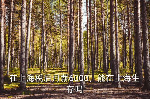 在上海稅后月薪6000，能在上海生存嗎