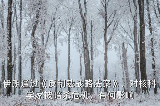 伊朗通過《反制裁戰(zhàn)略法案》，對核科學家被暗殺危機，有何影響