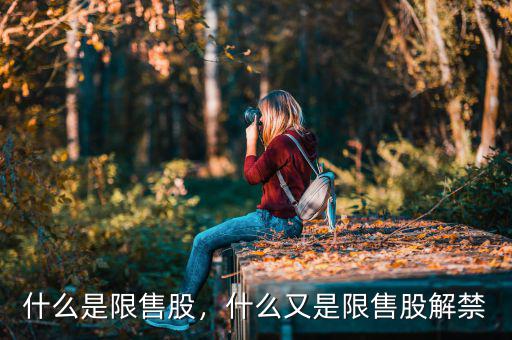 什么是限售股，什么又是限售股解禁
