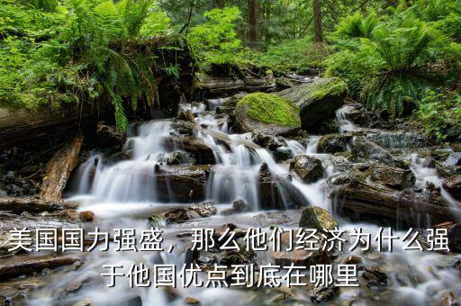 美國(guó)國(guó)力強(qiáng)盛，那么他們經(jīng)濟(jì)為什么強(qiáng)于他國(guó)優(yōu)點(diǎn)到底在哪里
