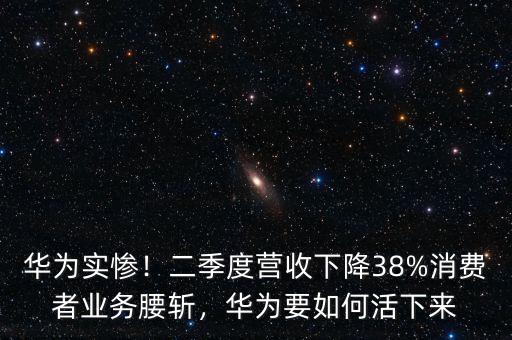 華為實慘！二季度營收下降38%消費者業(yè)務(wù)腰斬，華為要如何活下來