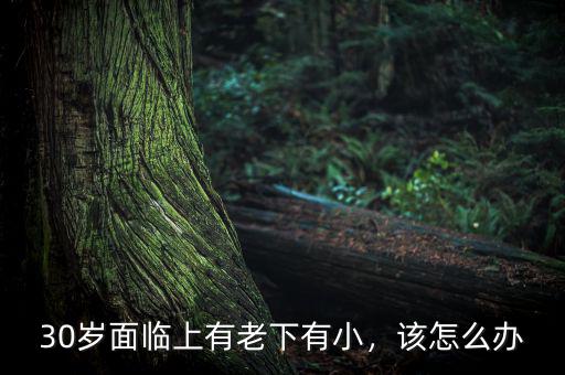 30歲面臨上有老下有小，該怎么辦