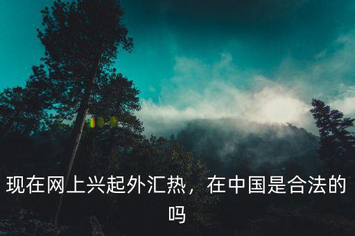 現(xiàn)在網(wǎng)上興起外匯熱，在中國是合法的嗎