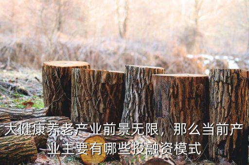 大健康養(yǎng)老產(chǎn)業(yè)前景無(wú)限，那么當(dāng)前產(chǎn)業(yè)主要有哪些投融資模式