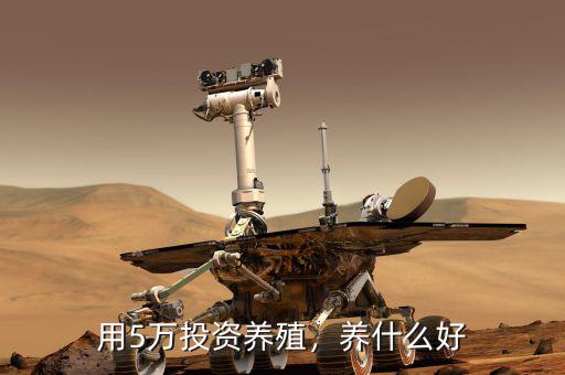 用5萬投資養(yǎng)殖，養(yǎng)什么好