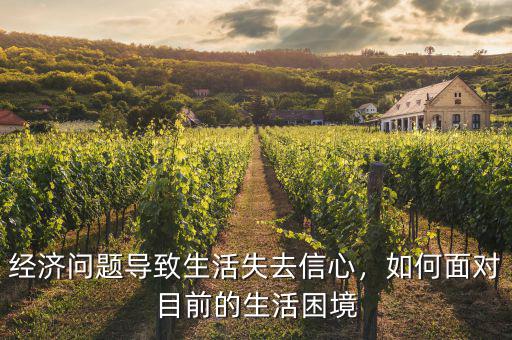 經濟問題導致生活失去信心，如何面對目前的生活困境