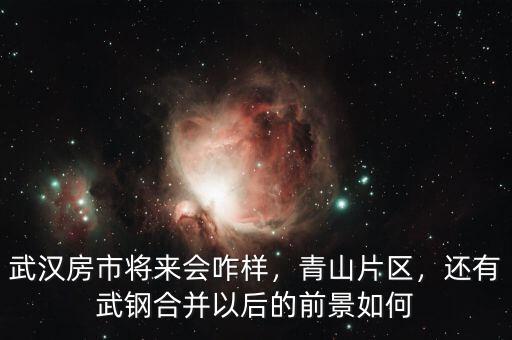 武漢房市將來(lái)會(huì)咋樣，青山片區(qū)，還有武鋼合并以后的前景如何