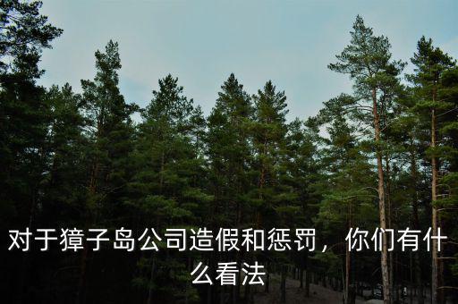 對(duì)于獐子島公司造假和懲罰，你們有什么看法
