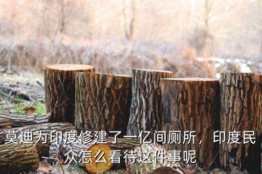莫迪為印度修建了一億間廁所，印度民眾怎么看待這件事呢