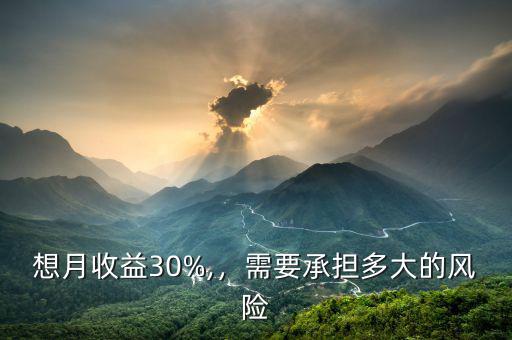 想月收益30%,，需要承擔(dān)多大的風(fēng)險(xiǎn)