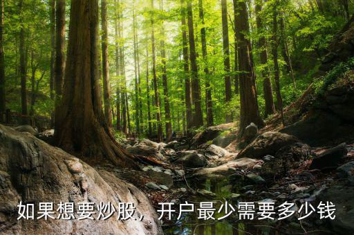 如果想要炒股，開(kāi)戶最少需要多少錢