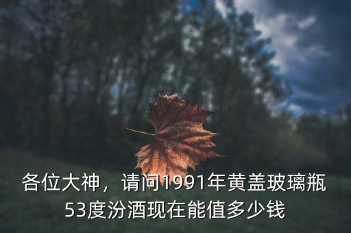 各位大神，請問1991年黃蓋玻璃瓶53度汾酒現(xiàn)在能值多少錢