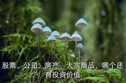 股票、公司、房產(chǎn)、大宗商品，哪個還有投資價值
