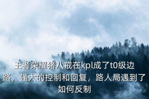 王者榮耀豬八戒在kpl成了t0級邊路，強(qiáng)大的控制和回復(fù)，路人局遇到了如何反制