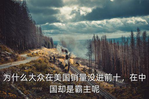 為什么大眾在美國銷量沒進前十，在中國卻是霸主呢