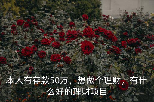 本人有存款50萬，想做個理財，有什么好的理財項目