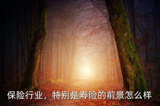 保險行業(yè)，特別是壽險的前景怎么樣