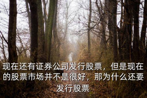 現(xiàn)在還有證券公司發(fā)行股票，但是現(xiàn)在的股票市場(chǎng)并不是很好，那為什么還要發(fā)行股票