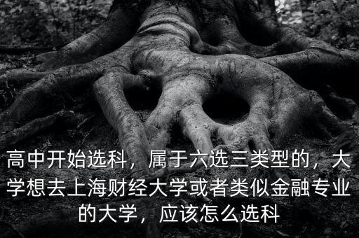 高中開(kāi)始選科，屬于六選三類(lèi)型的，大學(xué)想去上海財(cái)經(jīng)大學(xué)或者類(lèi)似金融專(zhuān)業(yè)的大學(xué)，應(yīng)該怎么選科