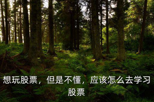 想玩股票，但是不懂，應(yīng)該怎么去學習股票