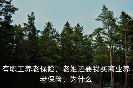 有職工養(yǎng)老保險，老姐還要我買商業(yè)養(yǎng)老保險，為什么