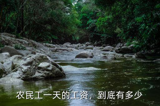 農(nóng)民工一天的工資，到底有多少