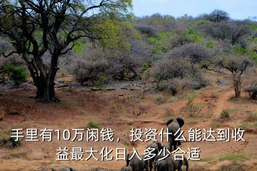 手里有10萬閑錢，投資什么能達到收益最大化日入多少合適