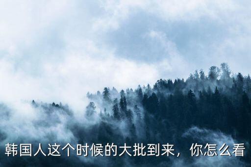 韓國人這個(gè)時(shí)候的大批到來，你怎么看