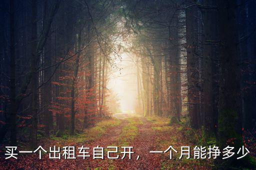 買一個出租車自己開，一個月能掙多少