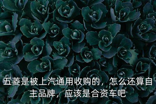 五菱是被上汽通用收購的，怎么還算自主品牌，應(yīng)該是合資車吧