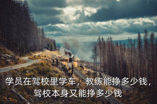 學(xué)員在駕校里學(xué)車，教練能掙多少錢，駕校本身又能掙多少錢