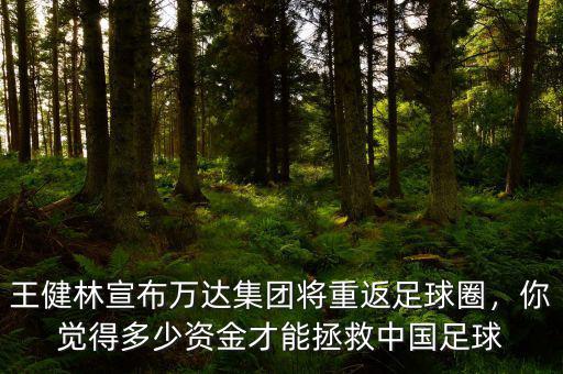 王健林宣布萬(wàn)達(dá)集團(tuán)將重返足球圈，你覺(jué)得多少資金才能拯救中國(guó)足球