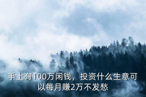 手上有100萬(wàn)閑錢，投資什么生意可以每月賺2萬(wàn)不發(fā)愁