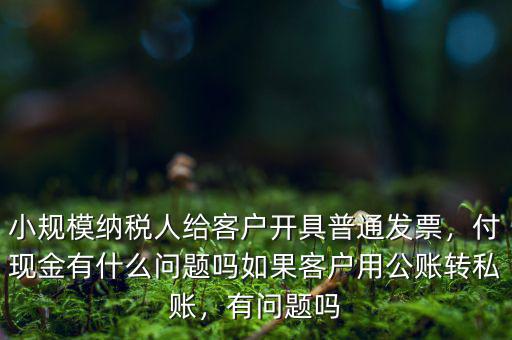 小規(guī)模納稅人給客戶開具普通發(fā)票，付現(xiàn)金有什么問題嗎如果客戶用公賬轉(zhuǎn)私賬，有問題嗎